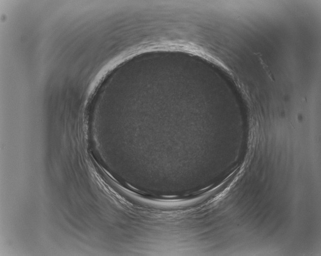 X0000057091506200509120906