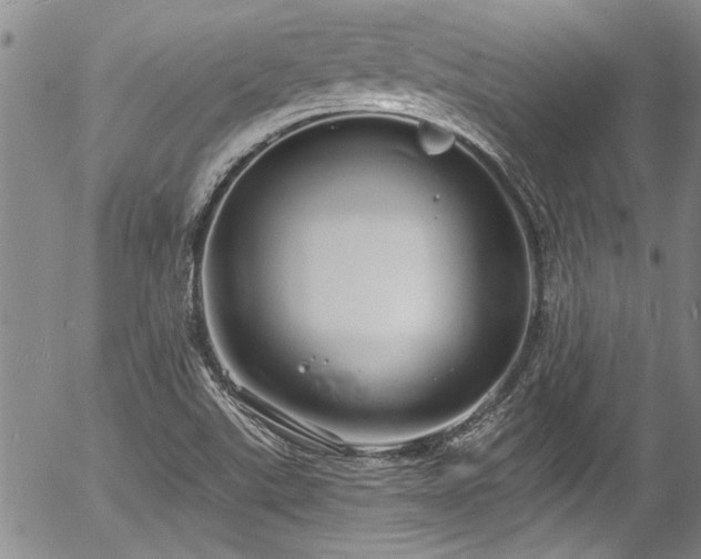 X0000057091507200509120906