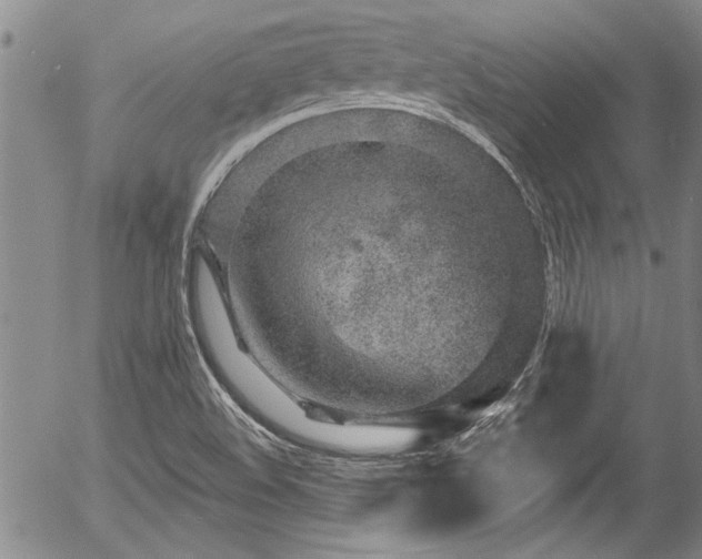 X0000057091508200509120906