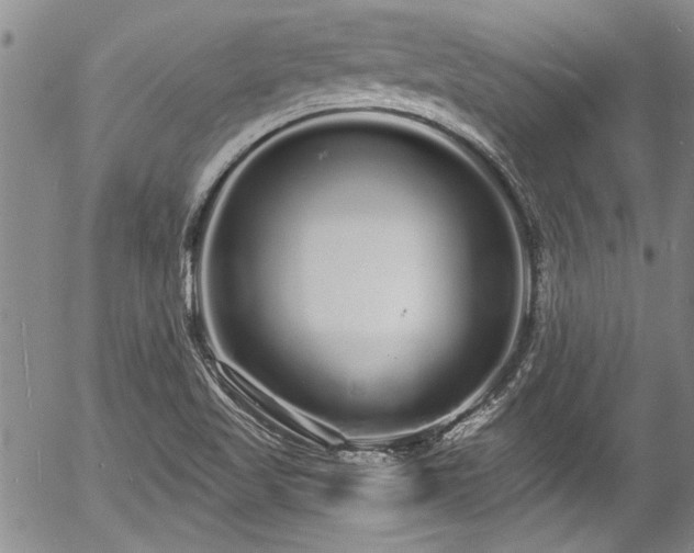 X0000057091509200509120906