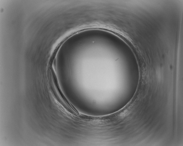 X0000057091510200509120906