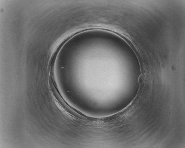 X0000057091511200509120906