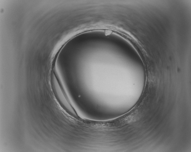 X0000057091512200509120906