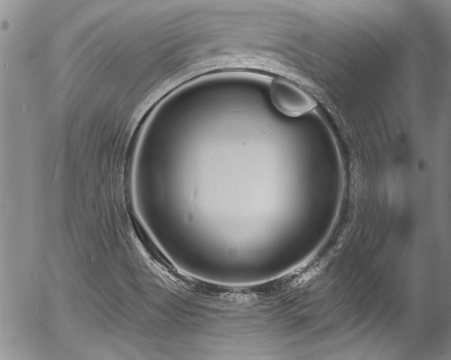 X0000057091513200509120906