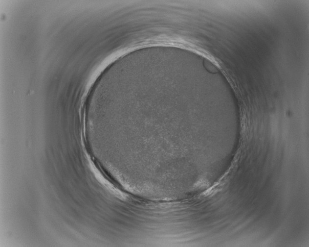 X0000057091515200509120906