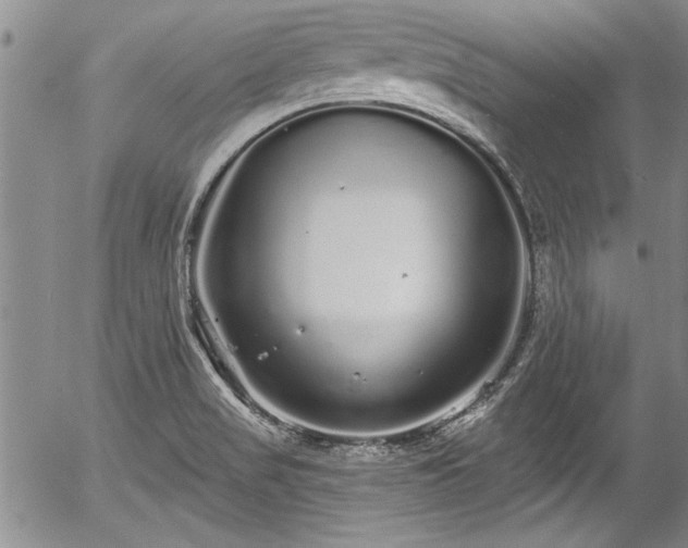 X0000057091517200509120906