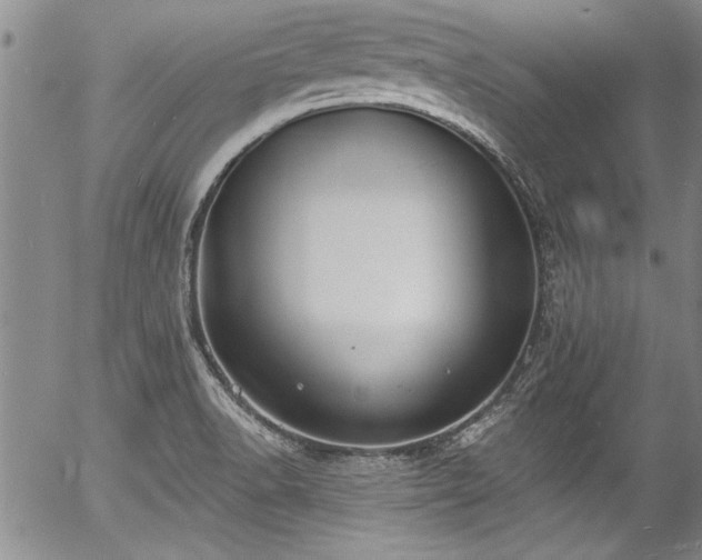 X0000057091518200509120906