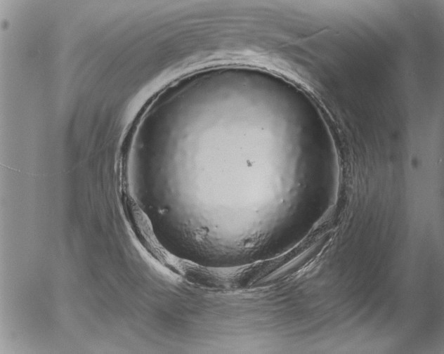 X0000057091519200509120906