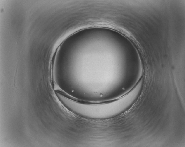 X0000057091520200509120906