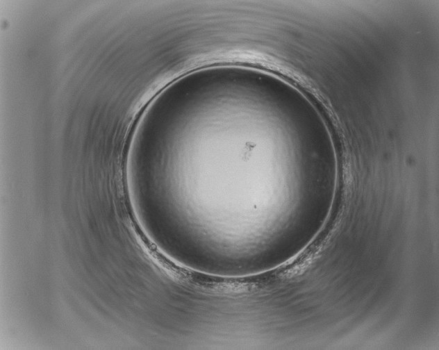 X0000057091521200509120906