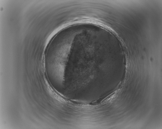 X0000057091522200509120906