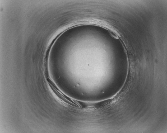 X0000057091523200509120906