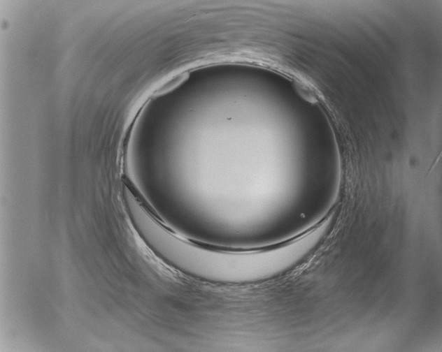 X0000057091524200509120906