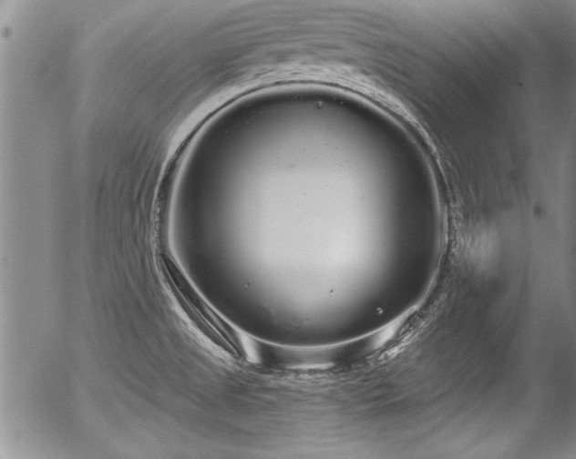 X0000057091525200509120906