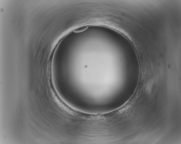 X0000057091526200509120906