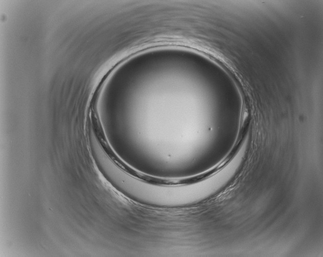 X0000057091527200509120906