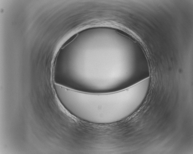 X0000057091528200509120906