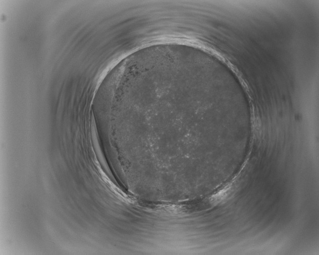 X0000057091529200509120906