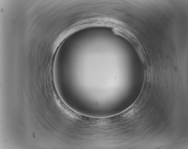 X0000057091530200509120906