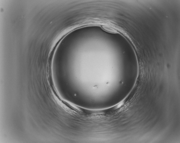 X0000057091531200509120906