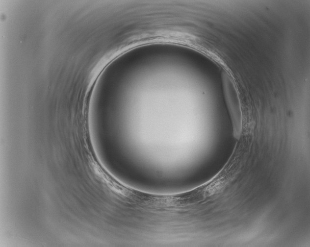 X0000057091532200509120906