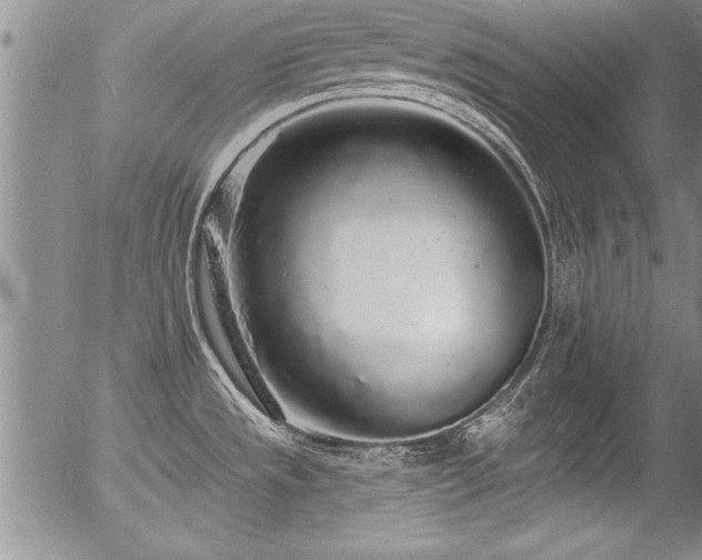 X0000057091533200509120906