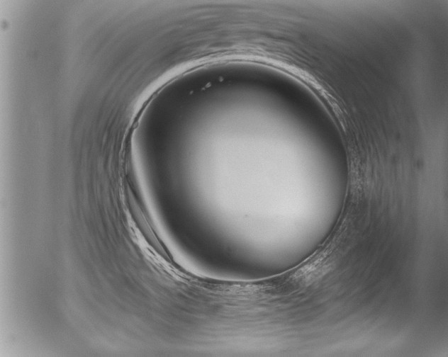 X0000057091534200509120906