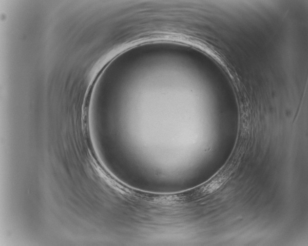 X0000057091535200509120906