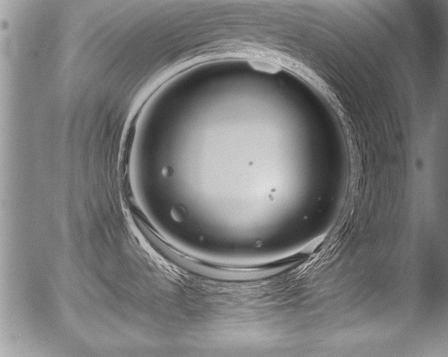 X0000057091536200509120906