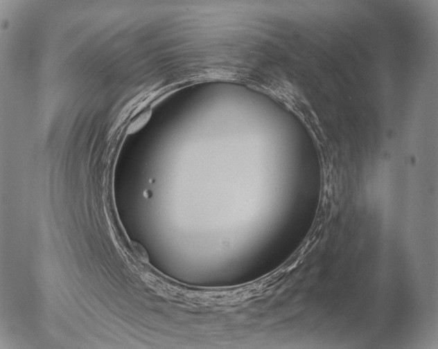 X0000057090001200509161641