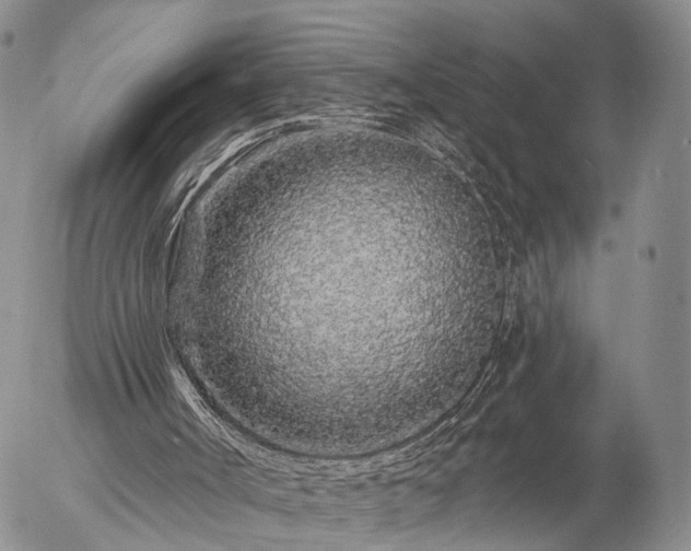 X0000057090002200509161641