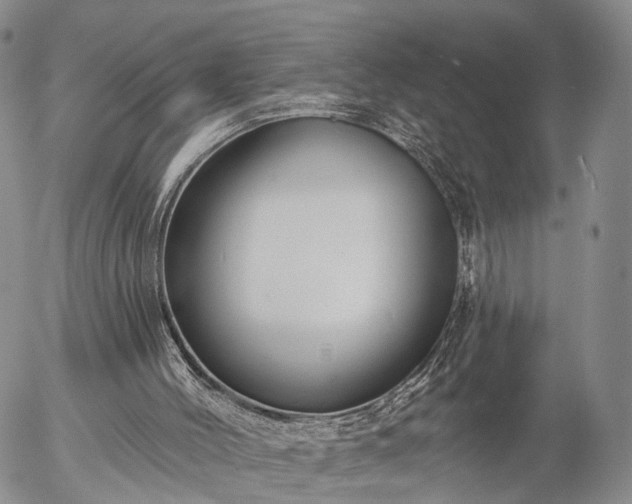 X0000057090004200509161641