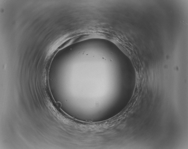 X0000057090005200509161641