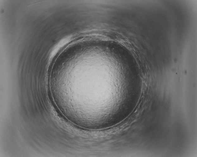 X0000057090006200509161641