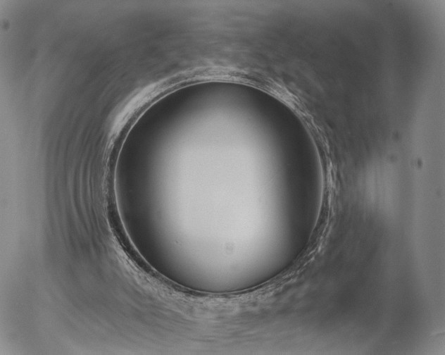 X0000057090007200509161641