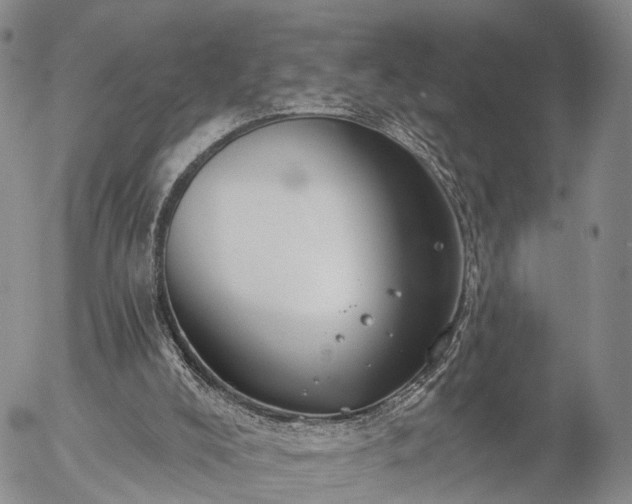 X0000057090008200509161641