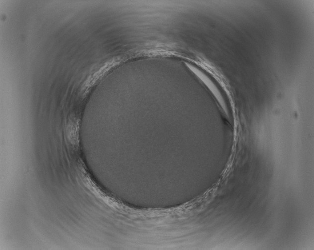 X0000057090009200509161641