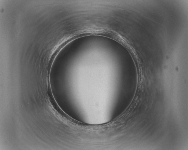 X0000057090011200509161641