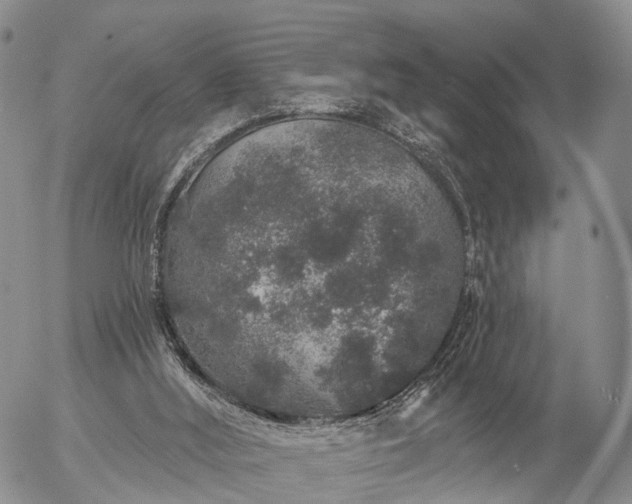 X0000057090012200509161641