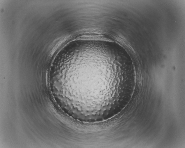 X0000057090014200509161641