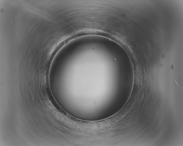 X0000057090015200509161641