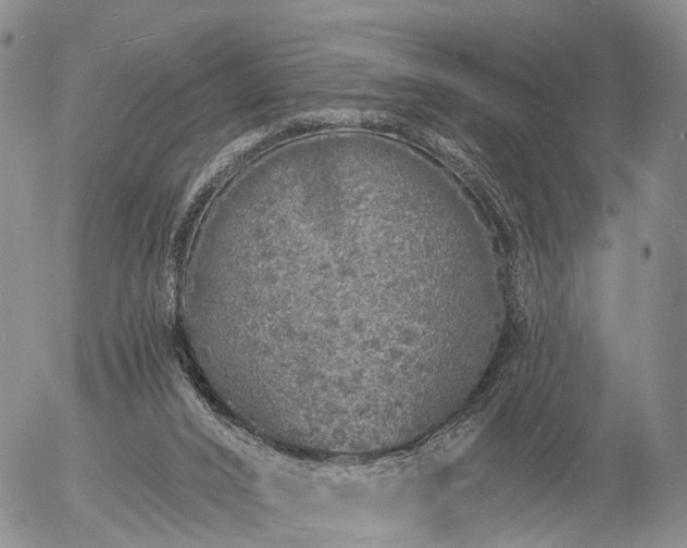 X0000057090016200509161641