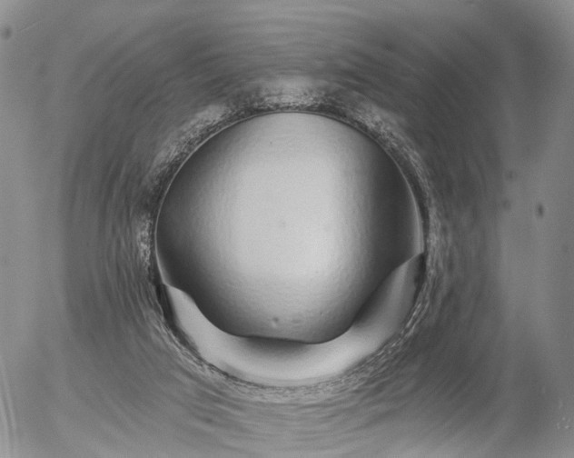 X0000057090017200509161641