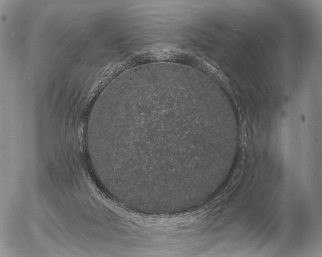 X0000057090018200509161641