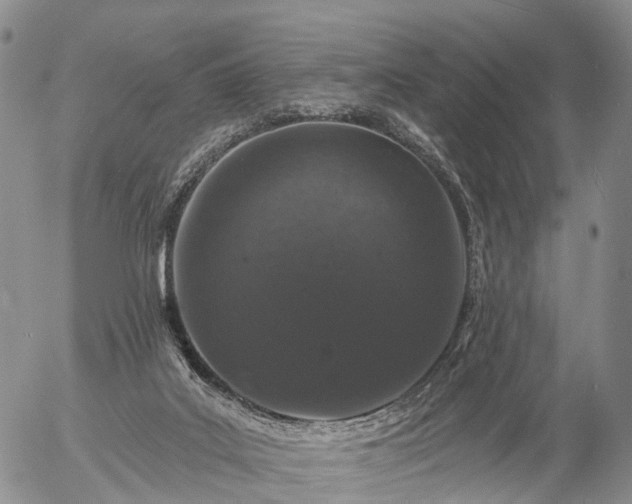 X0000057090019200509161641