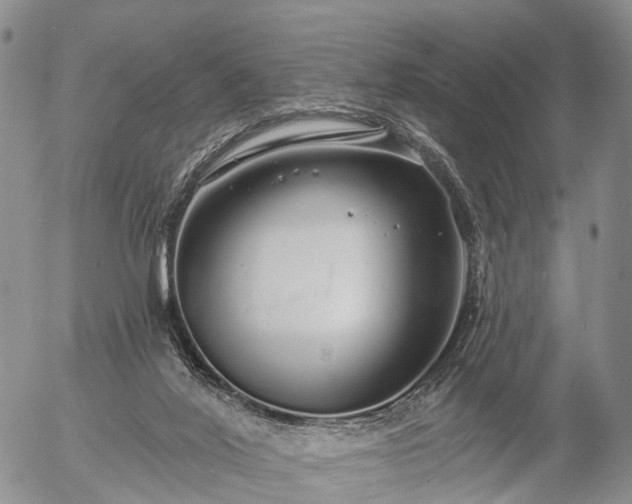 X0000057090020200509161641