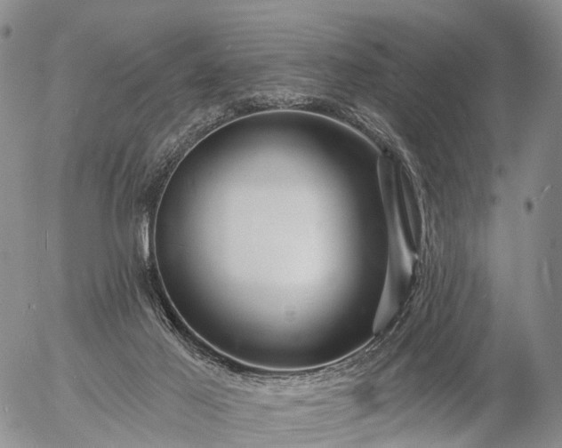 X0000057090021200509161641