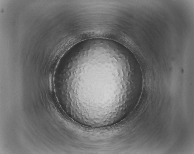 X0000057090022200509161641