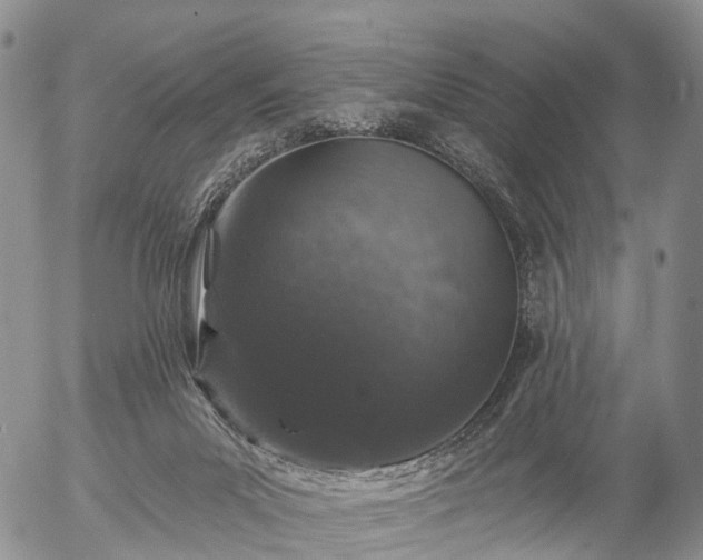 X0000057090023200509161641