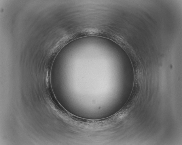 X0000057090024200509161641